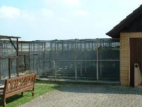 Bild 059.jpg