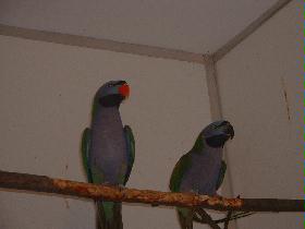 BILD18012005_006.JPG
