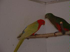BILD18012005_008.JPG