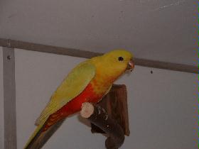 BILD18012005_012.JPG