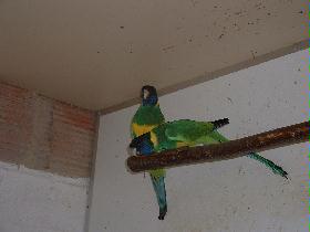 BILD18012005_027.JPG