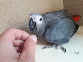20180730_180254.jpg