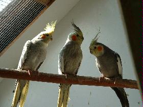 Bild 086.jpg