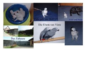 Bilder Viete.jpg